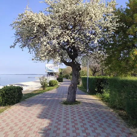 Pinia Fažana